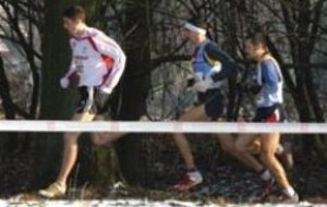 Cross des douanes à SARREGUEMINES