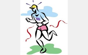 CROSS de SARRE-UNION