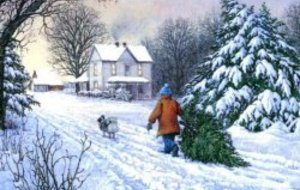 JOYEUX NOËL  et  BONNE ANNEE 2012