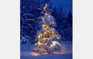 JOYEUX NOËL et BONNE ANNEE