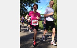 MARATHON du Vignoble Alsacien