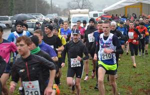 6è CROSS de HIRSCHLAND