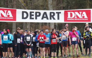 CROSS de WINGEN sur MODER