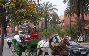 Bienvenue à Marrakech !