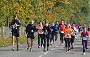 562d0844c6ab2_DSC3283.JPG