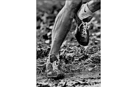 CROSS de SARRE-UNION