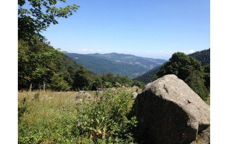 Sortie &quot;RANDO&quot; du TRISPORT