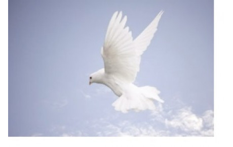 NOUS ne l'oublierons pas...